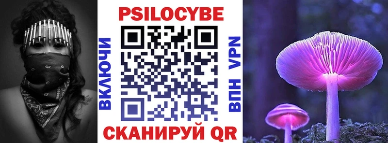 Псилоцибиновые грибы мицелий  купить наркотики сайты  Дигора 